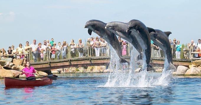 Www Huis Op De Veluwe Nl Nunspeet Ngoại thất bức ảnh